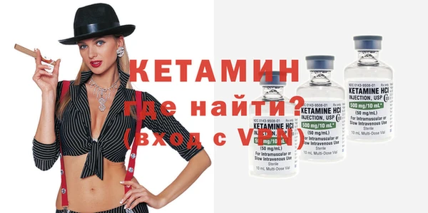 сатива Бородино