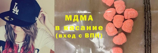 сатива Бородино