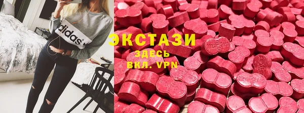 сатива Бородино