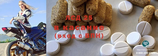 сатива Бородино