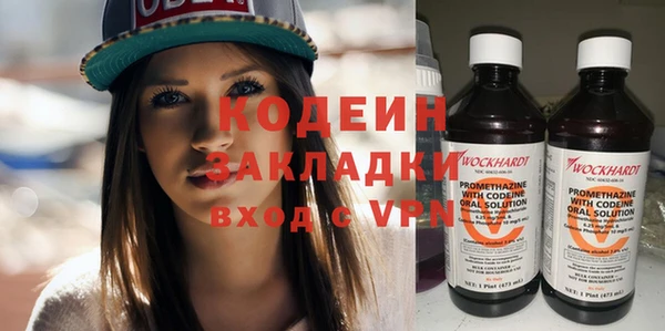 сатива Бородино