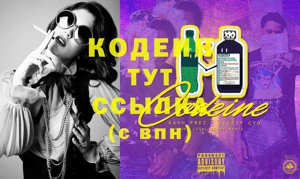 сатива Бородино
