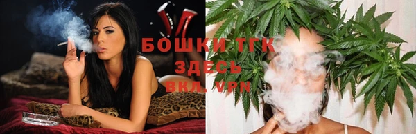 сатива Бородино